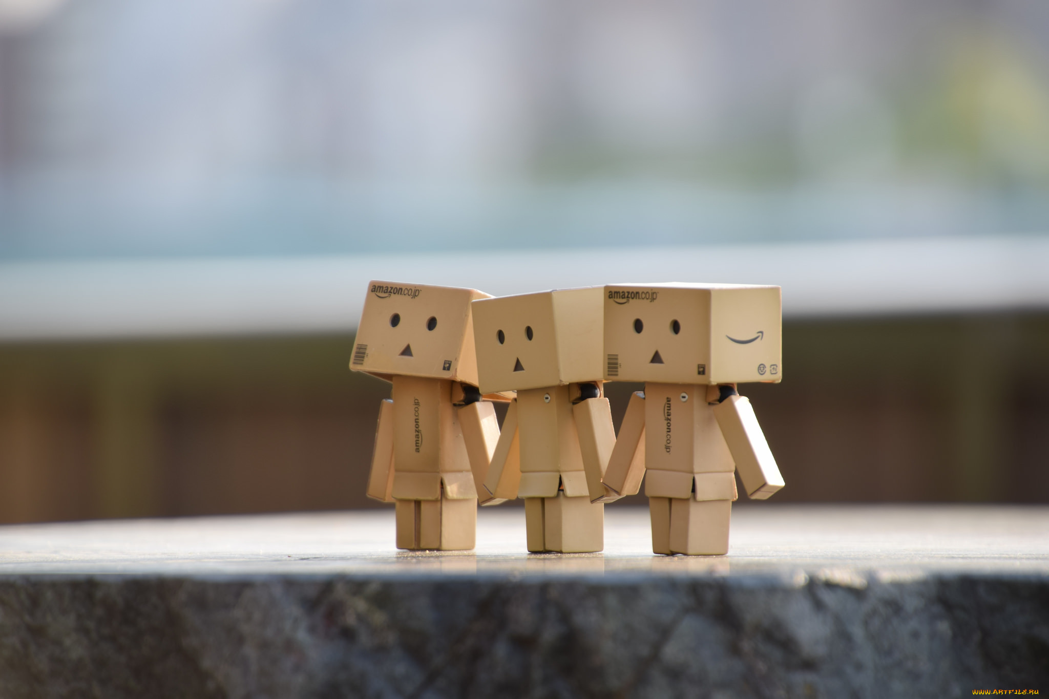 ,  , danboard, , , 